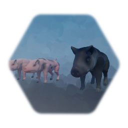 Pigs and a Boar