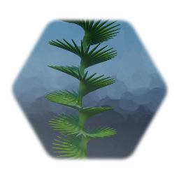 Plant(Spiral)