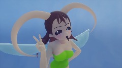 Apis Cerana Hive/Bee