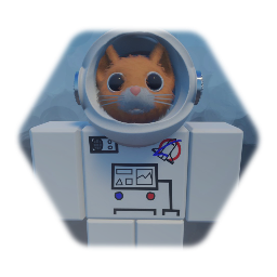 My Roblox avatar