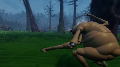 Battle of the Forest