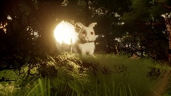 The Bunny