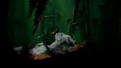 The hunt
