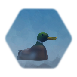 Decoy duck