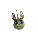 geno_boooii