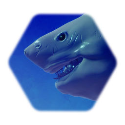 Remix of Shark