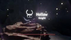Hollow knight