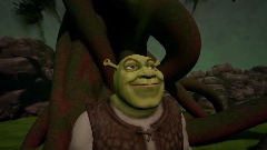 Shrek's Treasure Hunt