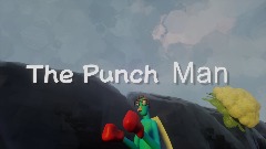 The Punch Man