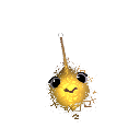 Thrown-Baby