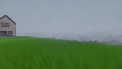 Grass floor with camera man