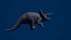 Loading, Triceratops fact