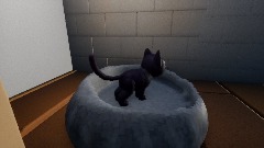 Cat Simulator: Third Floor Exploring Menu