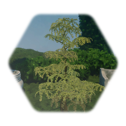 Animated Sapling