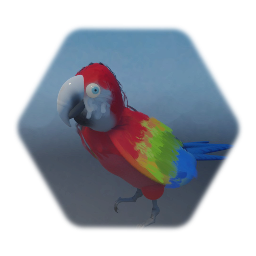 Animated Macaw Parrot