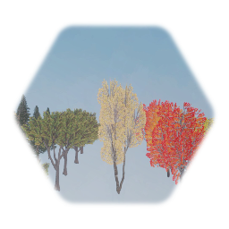 2d Fall Trees