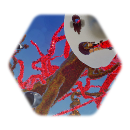 Knucle model aset veron!