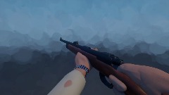 Bolt action rifle test