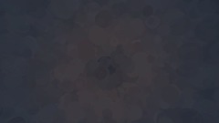 My Creation - 5/26/2038