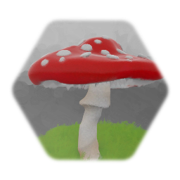 Toadstool Mushroom
