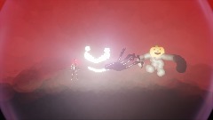 Rackoons playground 4