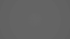 CULTURE | will wood (Animation test)