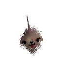 buttercaake