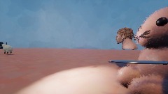 The rabbit and the boi