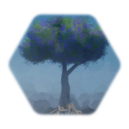 Jacaranda Tree