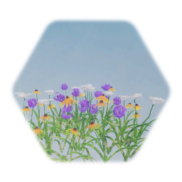 Assortment of Wildflowers