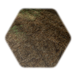 Realistic Forest Ground Module