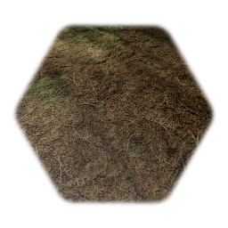 Remix of Realistic Forest Ground Module