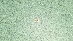 Remix of Spiffy pictures logo (ANIMATED)