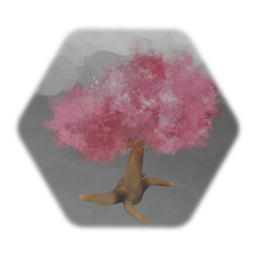Cherry Blossom Tree