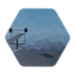 Bar et poids musculation