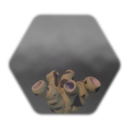 Spotted Trumpet Coral