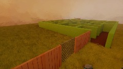 Maze Task