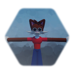 Aiden the Cat