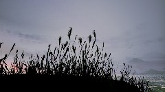 A screenshot taken in Dreams. 3 of 4.