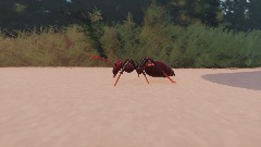 A Day In The Life Of An Ant