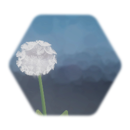 Dandelion