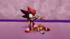 What actually happened to Shadow in Outcome Memories