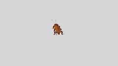 Dancing Roach