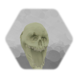 Skull