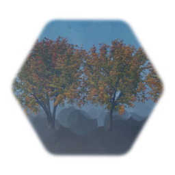 Fall Silver Maple Tree