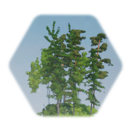 Finland (background) Trees