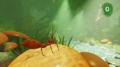 An Ant's Perspective