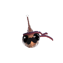 Just_a_nuggie