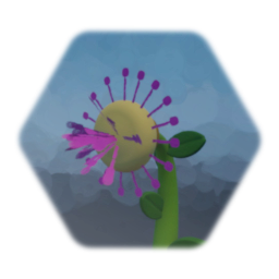 Spiky Pink Flower (Flowering Gum)