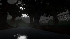 Forest test scene